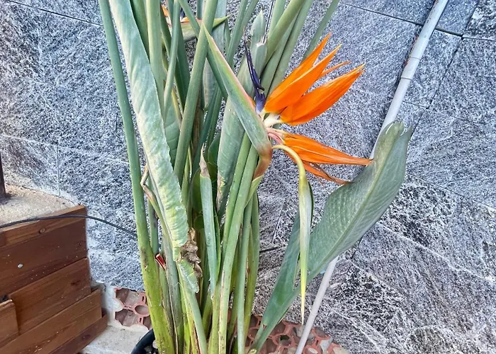 Vakantiehuis La Casa Bianca By M&g Orero