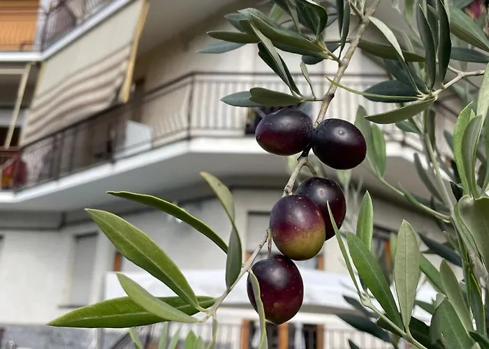 La Casa Bianca By M&g Vakantiehuis *