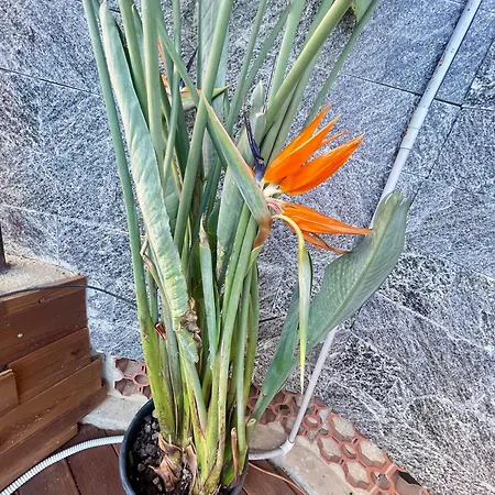 Сasa de vacaciones La Casa Bianca By M&g Orero